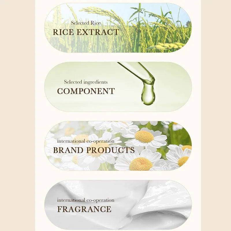 BIOAOUA Rice Puree Series